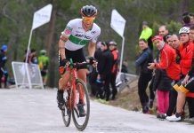 Nicolas Roche kończy karierę
