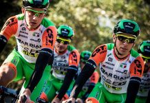Bardiani – CSF i Nippo – Vini Fantini połączą siły?