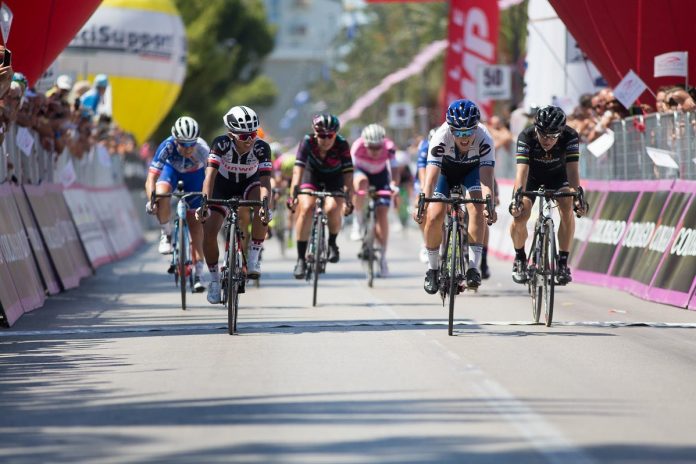 lepisto lotta giro rosa