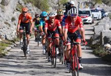 Zaginął dyrektor sportowy Trek – Segafredo?!