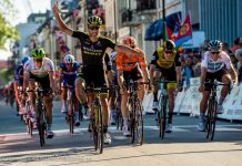 Michael Albasini zostanie nowym selekcjonerem reprezentacji Szwajcarii