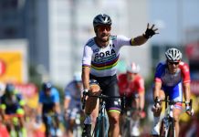 Sagan liderem Bora-hansgrohe na Ronde van Vlaanderen 2019