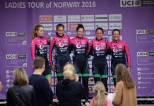 Zamknięty skład BePink na rok 2019