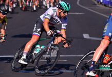 Wypowiedzi po Down Under Classic 2019 – Ewan, Sagan i in.