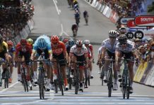 Tour Down Under 2019: Sagan najszybszy, Bevin nadal liderem (video)
