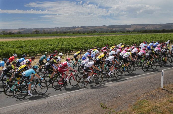 tdu