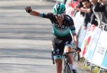 Criterium du Dauphine 2019: Bora-hansgrohe z Buchmannem i Bennettem w składzie