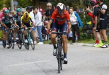 Vincenzo Nibali wystartuje w Gran Premio Città di Lugano