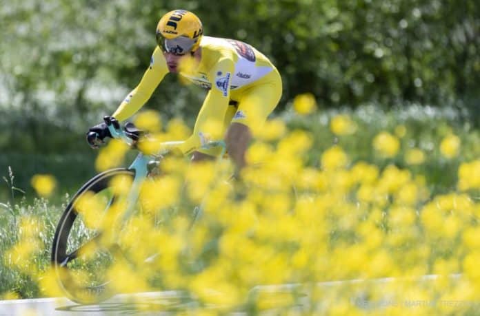 rogla
