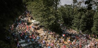 Sezon 2020.5 – czego możemy się spodziewać?