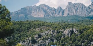 Naszosowe oceny: wakacje w strugach deszczu