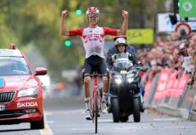 Jelle Wallays przechodzi rehabilitację. Straci dużą część sezonu
