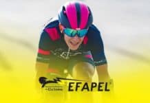Tiago Antunes w Efapel