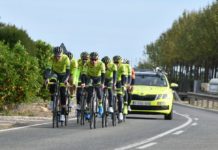 Licencja ProTeam dla Wallonie-Bruxelles oficjalnie zatwierdzona