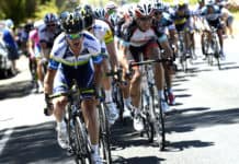 Stuart O’Grady nowym dyrektorem Tour Down Under