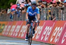 José Joaquín Rojas kończy karierę, ale zostaje w Movistar Team