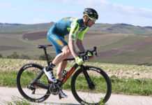 Marco Frapporti zostaje w Vini Zabu – KTM