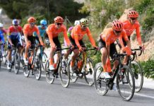 Wielerflits: Alpecin-Fenix otrzymał ofertę przejęcia licencji CCC Team!