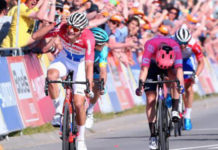Amstel Gold Race nie odbędzie się w 2020 roku