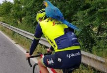 Antonio Nibali i papuga Frankie
