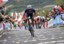 Julian Alaphilippe odpuszcza start w Igrzyskach Olimpijskich w Tokio