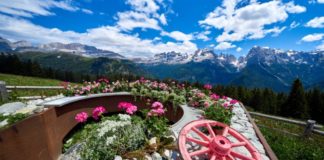 Lista startowa Giro d’Italia 2020