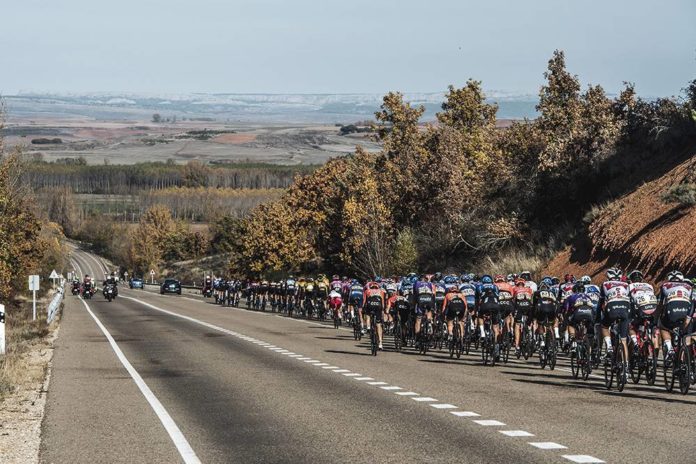 peleton