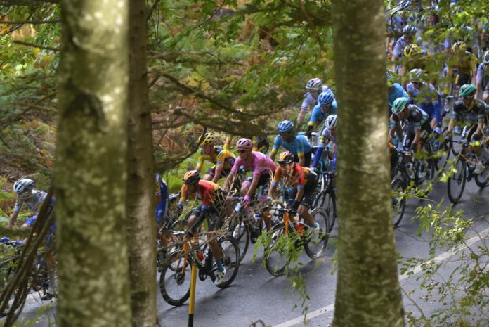 peleton almeida