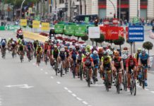 Ankieta The Cyclists’ Alliance: 25% kolarek jeździ za darmo
