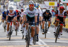 Volta a Catalunya 2021: Peter Sagan wraca w pięknym stylu po walce z Covid-19