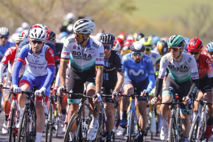 peter sagan