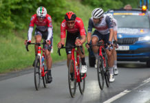 Polacy ruszają na podbój Słowenii – zapowiedź Tour of Slovenia 2021