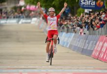 Naszosowe podsumowanie sezonu: Cofidis, Solutions Credits