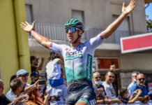 Settimana Ciclistica Italiana 2021: Ackermann wygrywa etap po raz trzeci. Cały wyścig dla Ulissiego