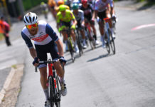 Trek-Segafredo przedłuża kontrakty