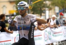 Sonny Colbrelli ma zostać nowym dyrektorem sportowym w Bahrain Victorious