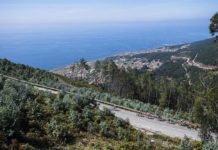 Dyrektor wyścigu Vuelta a España: „Wyścig wróci na Wyspy Kanaryjskie”