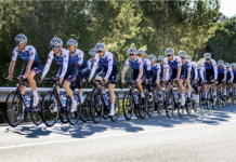 Najskuteczniejsze ekipy na rynku tranferowym Quick-Step Alpha Vinyl Team
