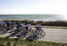 Rowery i osprzęt ekip WorldTour w sezonie 2022