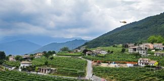 Sępy – zapowiedź 3. etapu Giro d’Italia 2023 peleton Giro d'Italia 2022