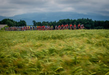 W cieniu Tour de Suisse – zapowiedź Tour of Slovenia 2026 peleton Tour of Slovenia