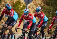 Allan Davis wyrzucony z Lotto Dstny w atmosferze skandalu
