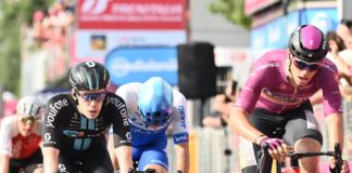 Magia cyklamenu – faworyci klasyfikacji punktowej Giro d’Italia 2024