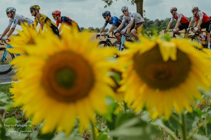 peleton tour de pologne 2023