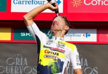 Rui Costa zmienia barwy