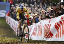 Telenet Superprestige 2023/24: Triumfy Wouta van Aerta i Fem van Empel