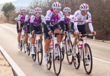 „Atomówki” przed Scheldeprijs i Ślężańskim Mnichem