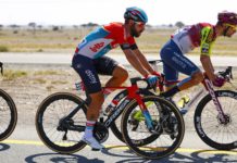 Vittoria i Zipp reagują na kraksę Thomasa De Gendta podczas UAE Tour 2024