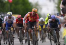 Alexander Kristoff wygrał Antwerp Port Epic 2024: „Plan przygotowań do Touru działa”
