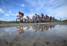 Giro d’Italia 2024: Wypowiedzi po 4. etapie (Ganna, Merlier, Groves, Bauhaus, Pogačar)